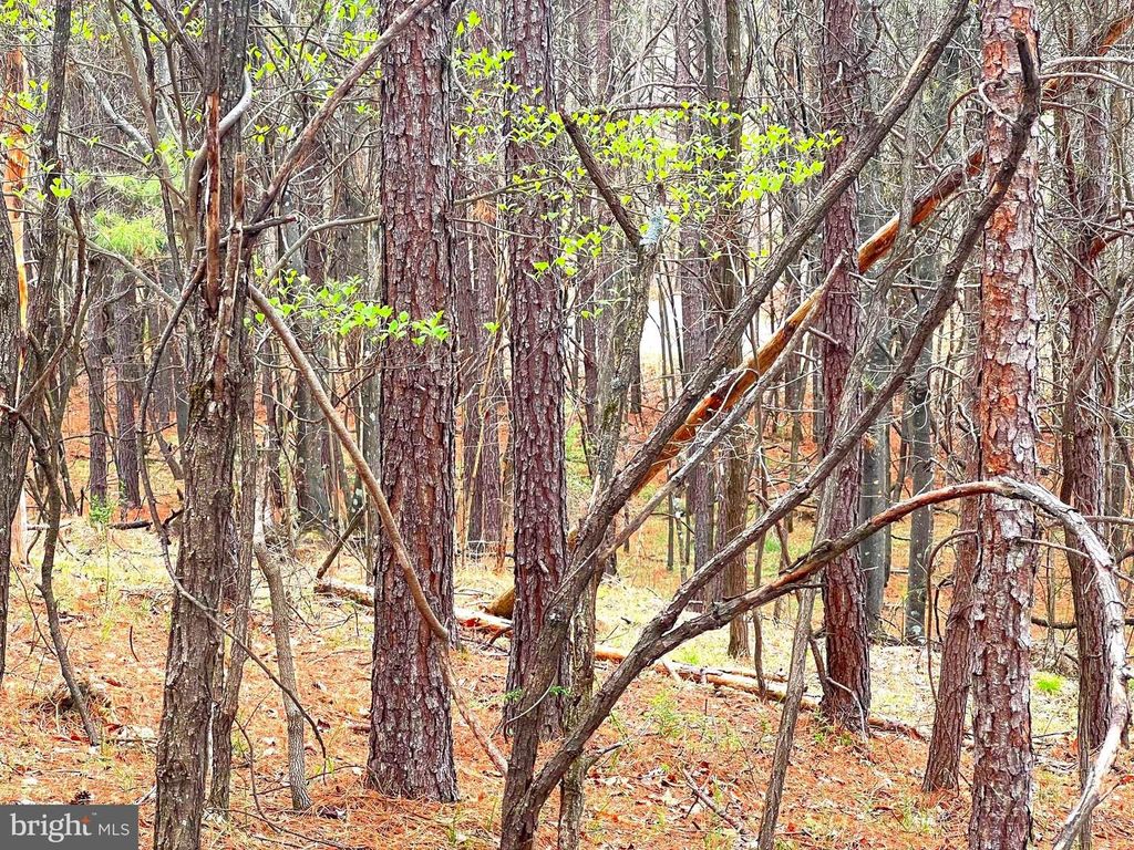 Image 20 of property listing at 85 TROUGH VIEW RD, Moorefield, WV 26836