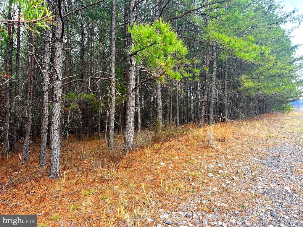 Image 21 of property listing at 85 TROUGH VIEW RD, Moorefield, WV 26836