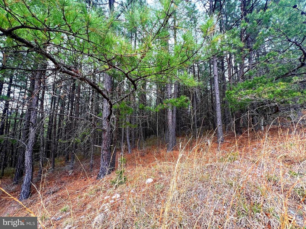 Image 22 of property listing at 85 TROUGH VIEW RD, Moorefield, WV 26836