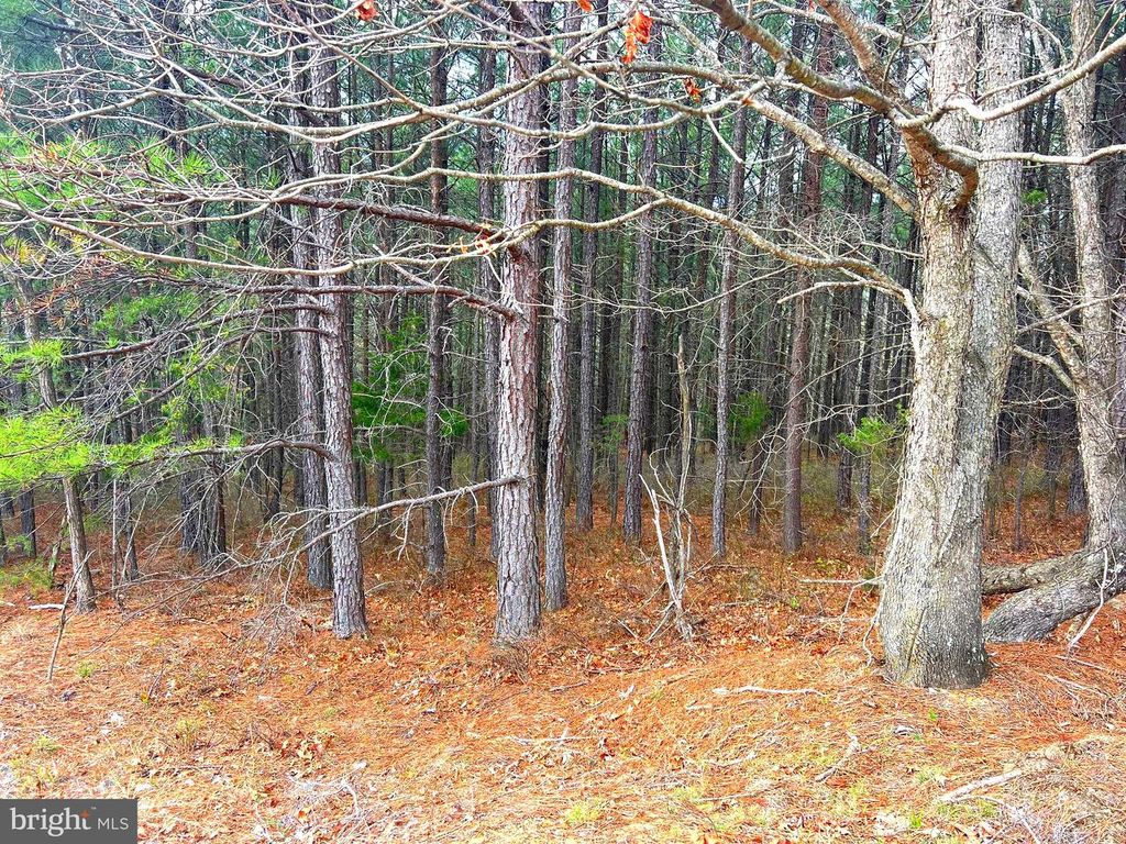 Image 23 of property listing at 85 TROUGH VIEW RD, Moorefield, WV 26836