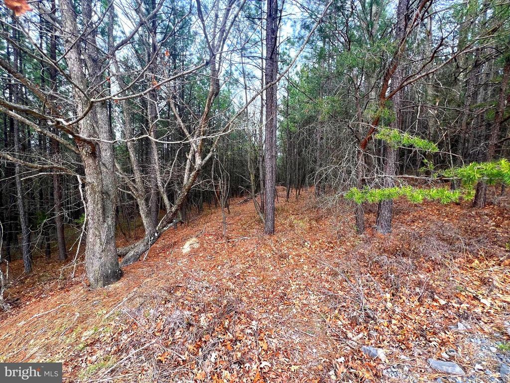 Image 25 of property listing at 85 TROUGH VIEW RD, Moorefield, WV 26836