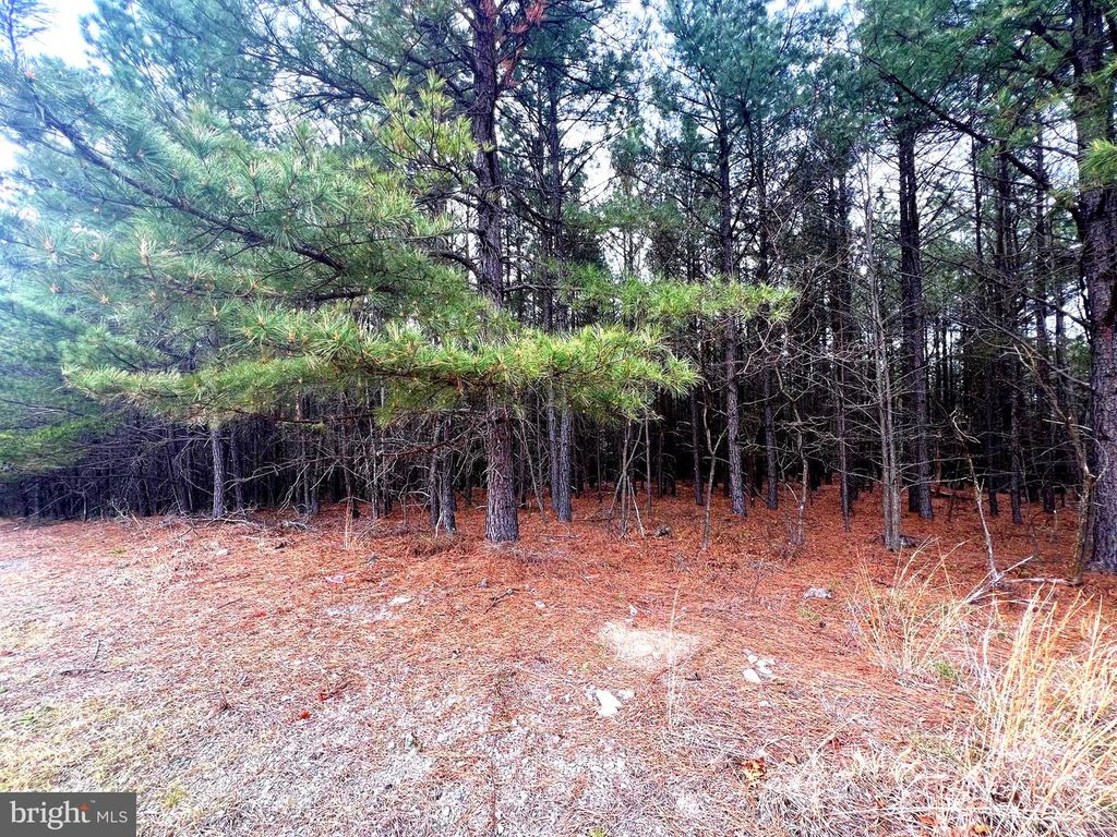 Image 26 of property listing at 85 TROUGH VIEW RD, Moorefield, WV 26836