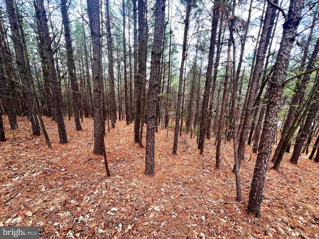 Image 29 of property listing at 85 TROUGH VIEW RD, Moorefield, WV 26836