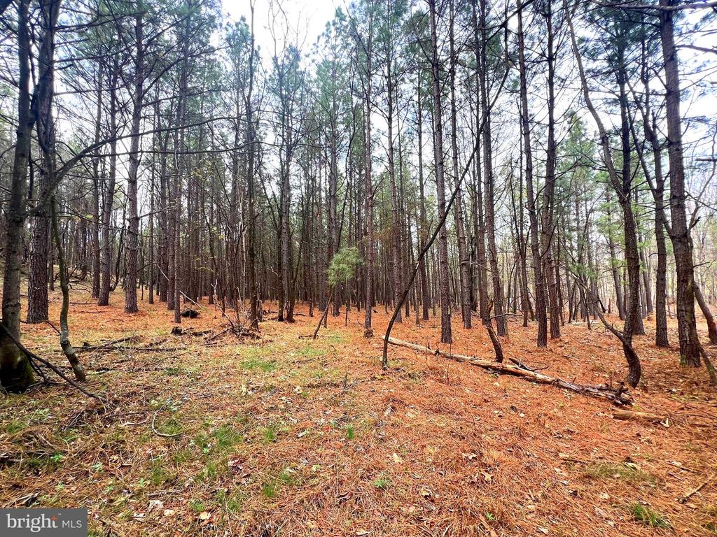 Image 31 of property listing at 85 TROUGH VIEW RD, Moorefield, WV 26836