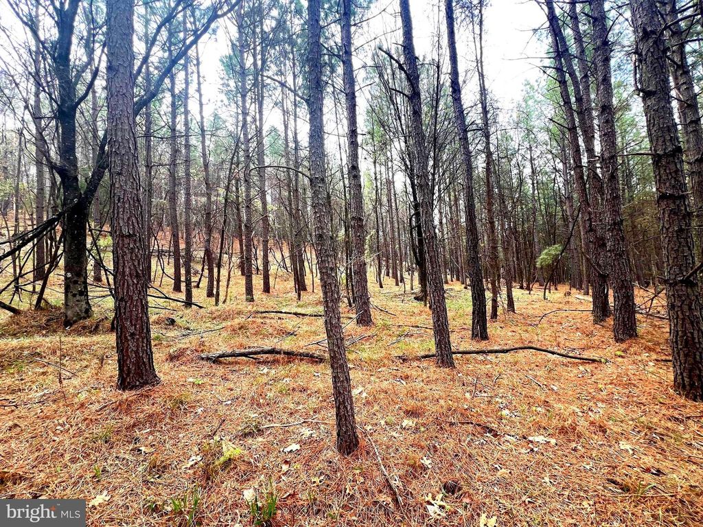 Image 32 of property listing at 85 TROUGH VIEW RD, Moorefield, WV 26836