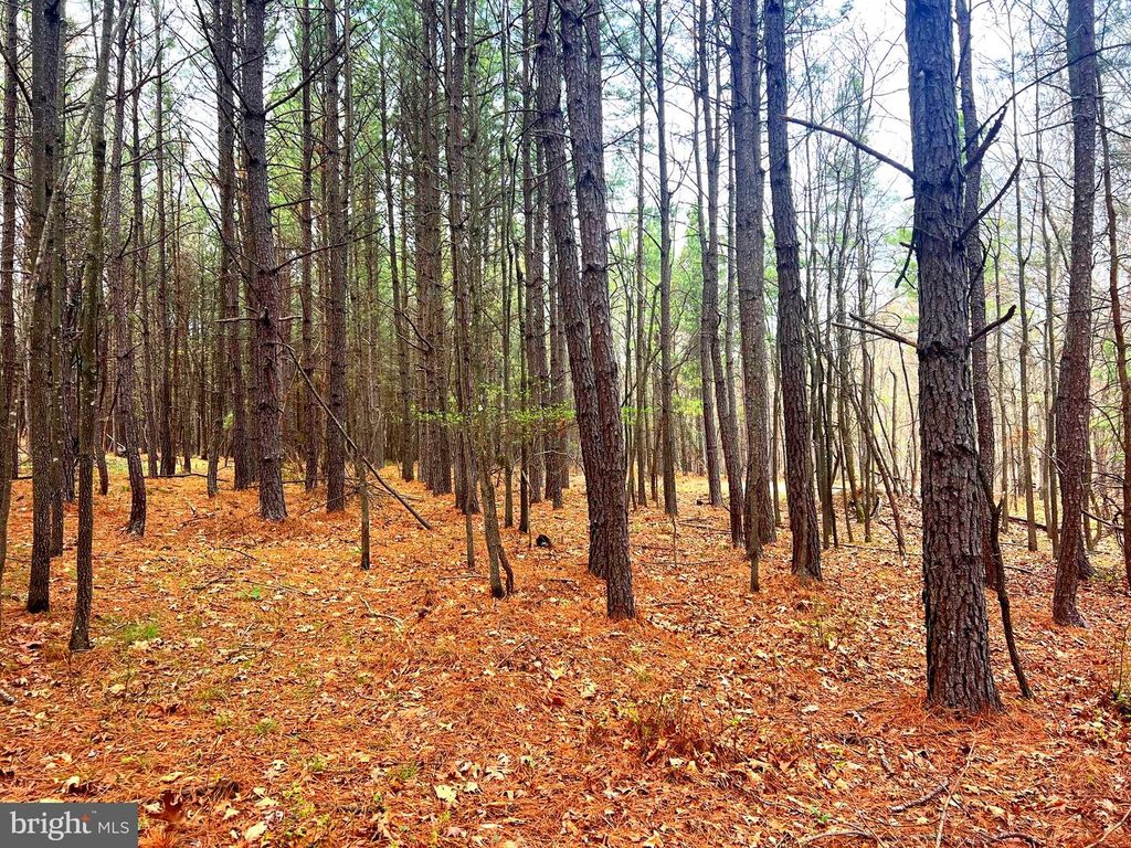 Image 33 of property listing at 85 TROUGH VIEW RD, Moorefield, WV 26836