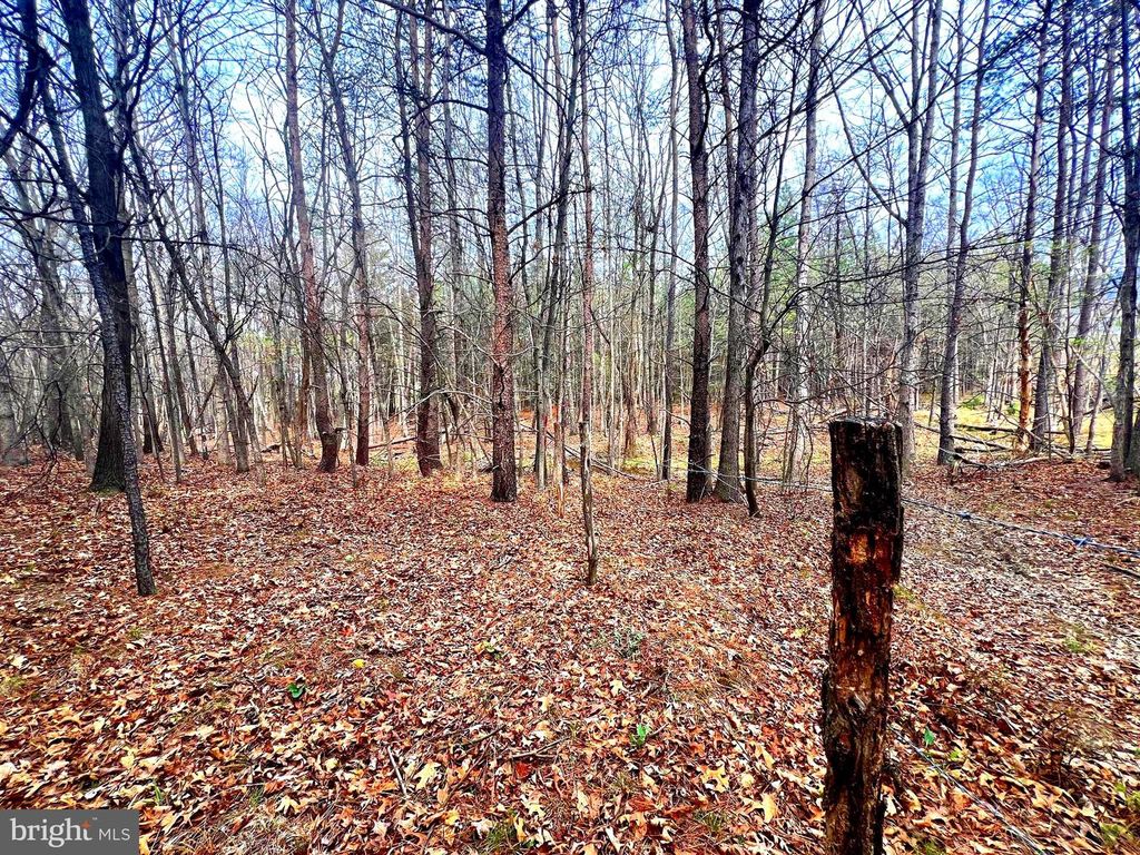Image 34 of property listing at 85 TROUGH VIEW RD, Moorefield, WV 26836