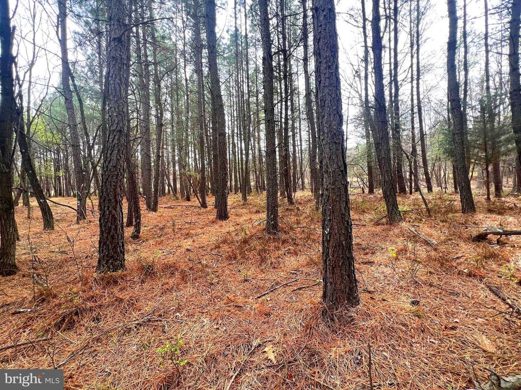 Image 35 of property listing at 85 TROUGH VIEW RD, Moorefield, WV 26836