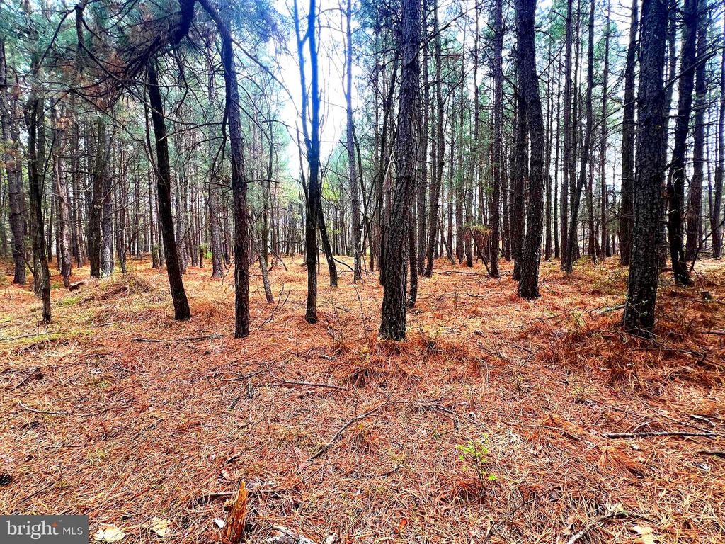 Image 36 of property listing at 85 TROUGH VIEW RD, Moorefield, WV 26836
