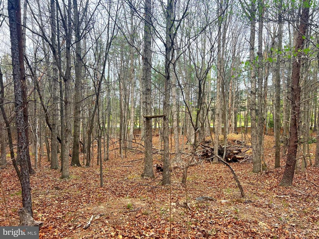 Image 5 of property listing at 85 TROUGH VIEW RD, Moorefield, WV 26836