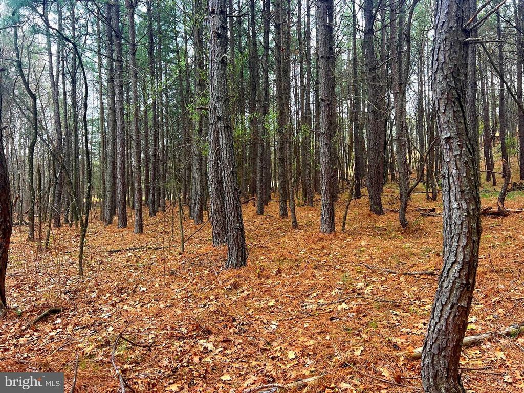 Image 8 of property listing at 85 TROUGH VIEW RD, Moorefield, WV 26836