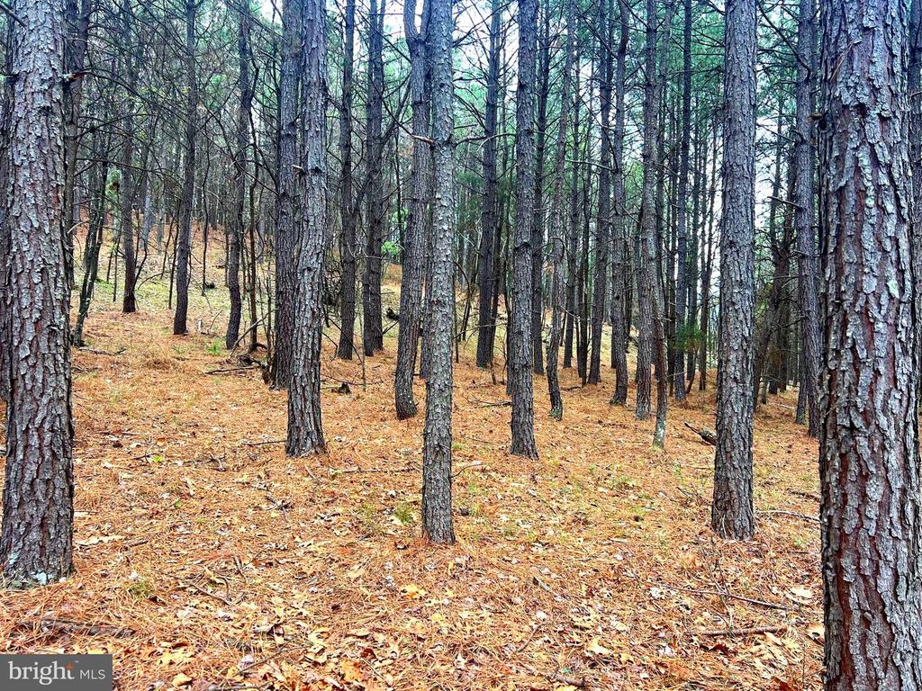 Image 9 of property listing at 85 TROUGH VIEW RD, Moorefield, WV 26836