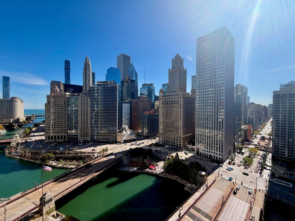 300 N State Street 2332, Chicago, IL 60654 — photo 4