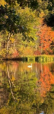 111 Dutton Road, Sudbury, MA 01776