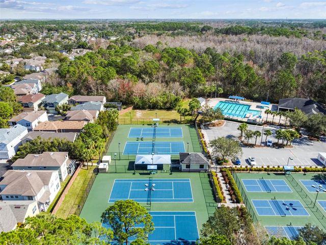 10507 WEYBRIDGE DRIVE, Tampa, FL 33626