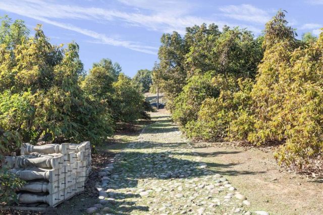 15141 Post Oak Lane, El Cajon, CA 92021