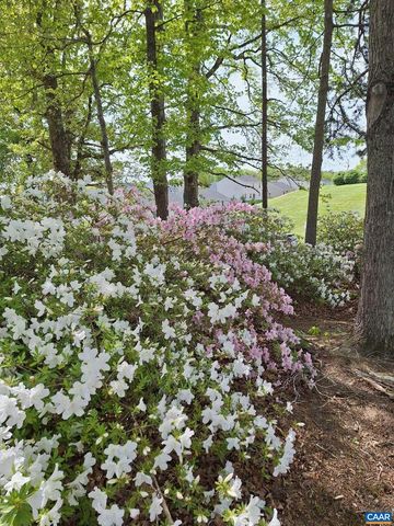 987 MATTHEW MILL RD, Ruckersville, VA 22968