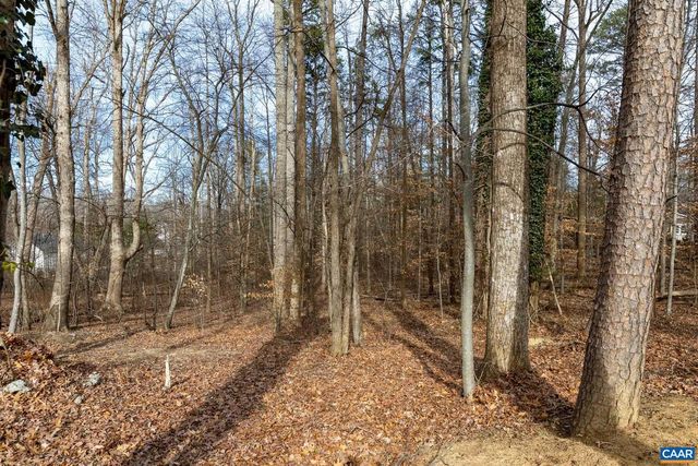 987 MATTHEW MILL RD, Ruckersville, VA 22968