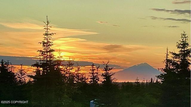 68021 Jolly Avenue, Anchor Point, AK 99556