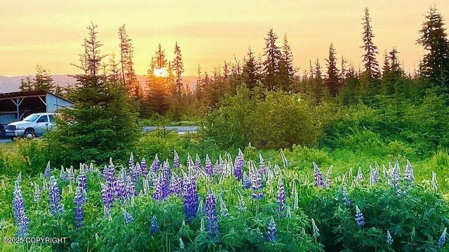 68021 Jolly Avenue, Anchor Point, AK 99556