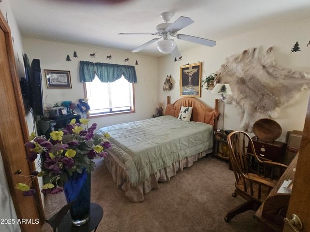 9619 W COYOTE Drive, Strawberry, AZ 85544