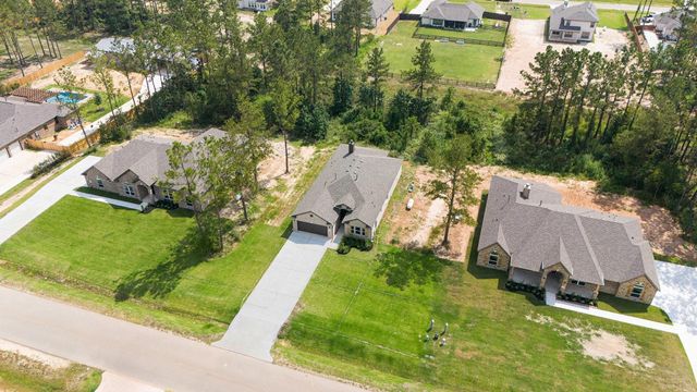 13348 Wichita Fall Trail, Conroe, TX 77303