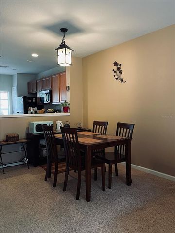 10453 WESTPARK PRESERVE BOULEVARD, Tampa, FL 33625