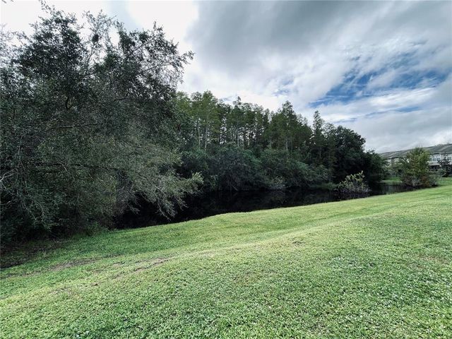 10453 WESTPARK PRESERVE BOULEVARD, Tampa, FL 33625