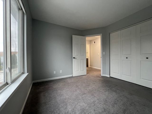 22306 W Niagara Court, Plainfield, IL 60544