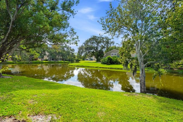 9020 LAKE PLACE LANE 9020, Tampa, FL 33634