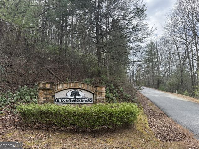 0 Gold Mine Knob, Blairsville, GA 30512