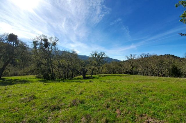 0 CACHAGUA ROAD, Carmel Valley, CA 93924