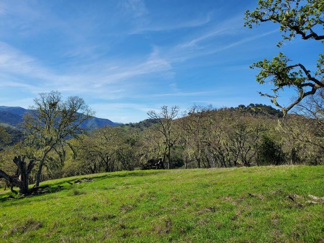0 CACHAGUA ROAD, Carmel Valley, CA 93924