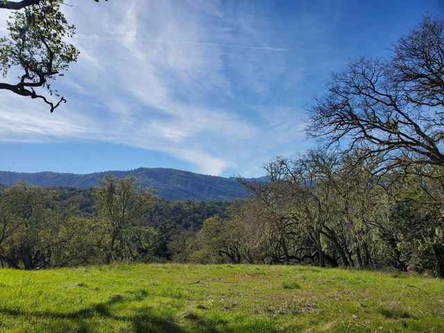 0 CACHAGUA ROAD, Carmel Valley, CA 93924
