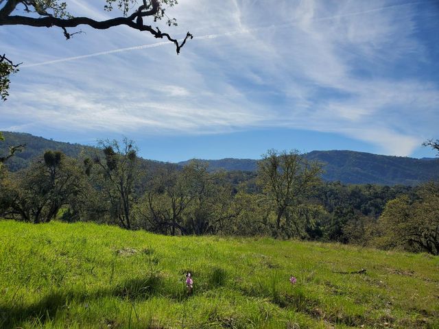 0 CACHAGUA ROAD, Carmel Valley, CA 93924