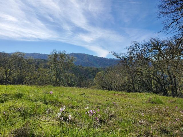 0 CACHAGUA ROAD, Carmel Valley, CA 93924