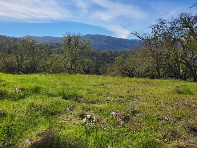 0 CACHAGUA ROAD, Carmel Valley, CA 93924