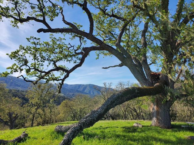 0 CACHAGUA ROAD, Carmel Valley, CA 93924