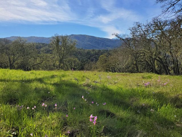 0 CACHAGUA ROAD, Carmel Valley, CA 93924