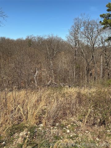 8354 N Hwy 82, Spavinaw, OK 74366