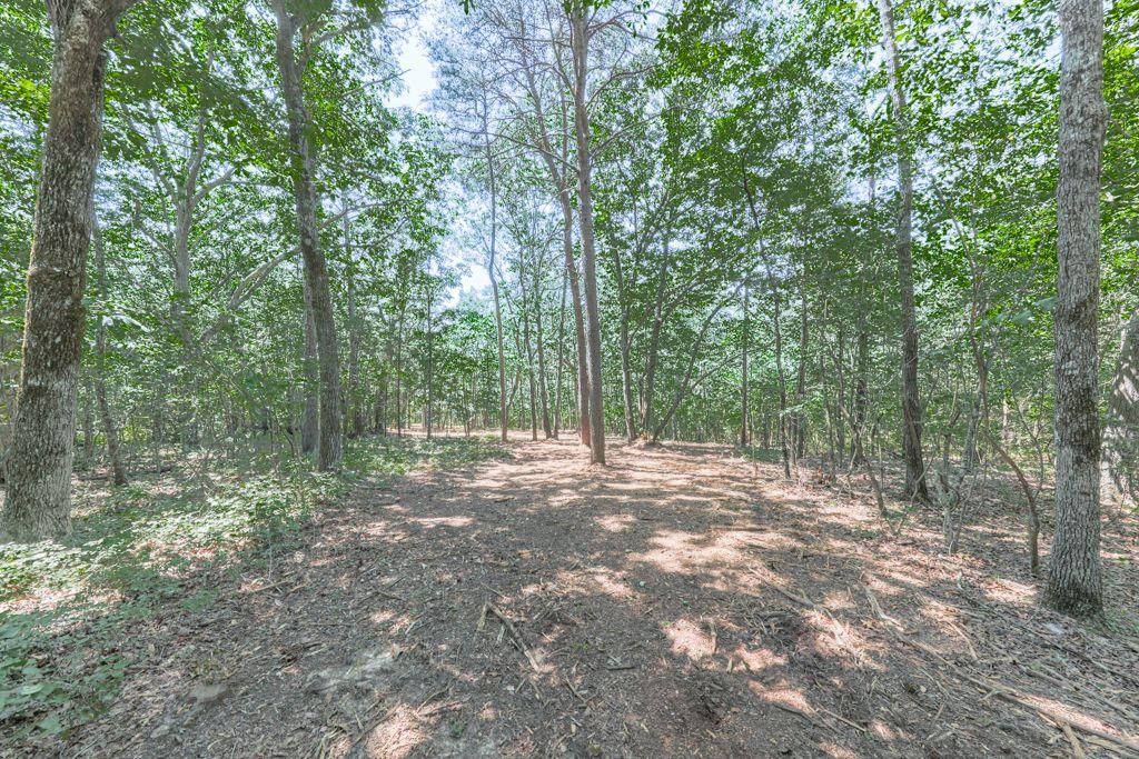 769 Rockhouse RD, Waleska, GA 30183