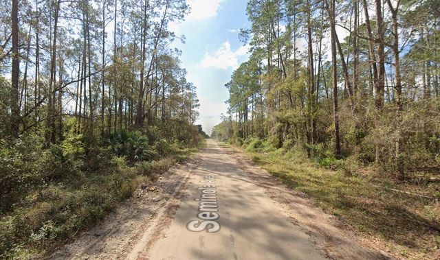 Tbd Seminole Avenue, Interlachen, FL 32148