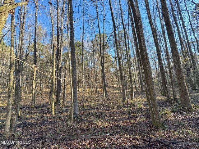 0 Cox Ferry Road, Flora, MS 39071