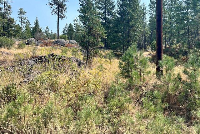 5687X Corkscrew Canyon Rd, Tumtum, WA 99034