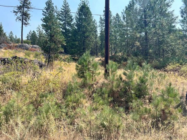 5687X Corkscrew Canyon Rd, Tumtum, WA 99034