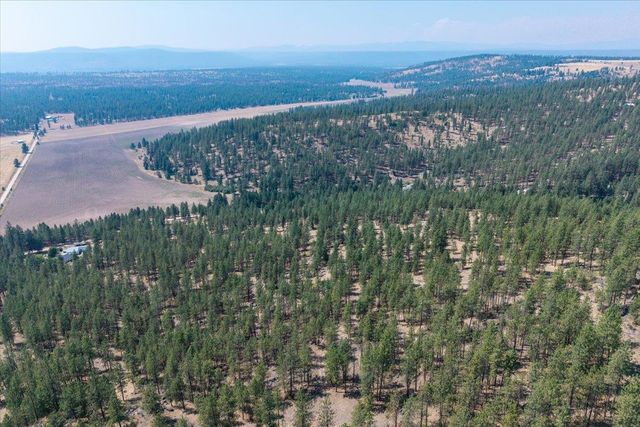 5687X Corkscrew Canyon Rd, Tumtum, WA 99034