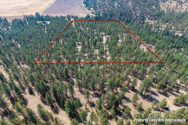 5687X Corkscrew Canyon Rd, Tumtum, WA 99034