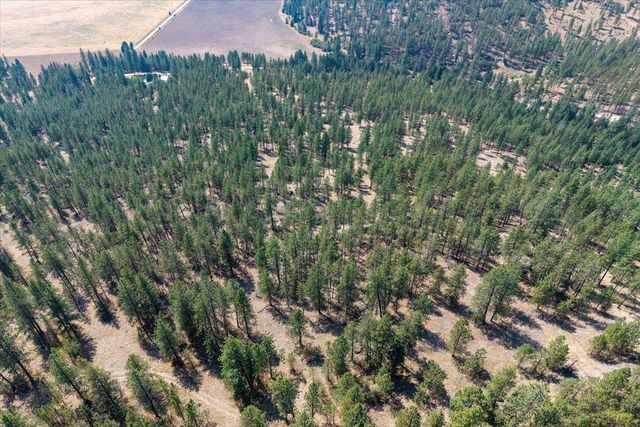 5687X Corkscrew Canyon Rd, Tumtum, WA 99034