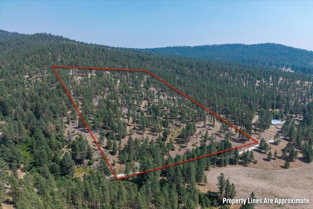 5687X Corkscrew Canyon Rd, Tumtum, WA 99034