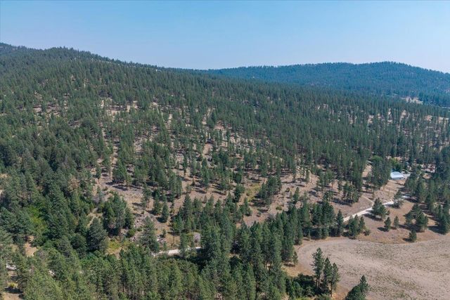 5687X Corkscrew Canyon Rd, Tumtum, WA 99034